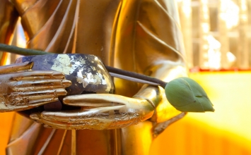 Cuộc sống mệt mỏi, phần nhỏ do sinh tồn, phần lớn bởi vì so sánh